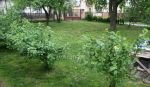 Predám rodinný dom so ovocnou záhradou v Motešiciach