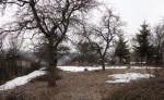 Rodinný dom, obec Nevidzany, 2079 m2 – fotka 3