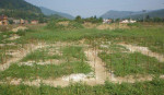 PB1512 Hrubá stavba RD v radovke, obec Jasenica - slnečný pozemok 239 m2 – fotka 2