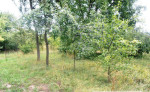 Rodinný dom, 1700 m2, dolné srnie – fotka 4