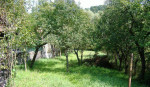 Rodinný dom - Kostolná Ves – fotka 4