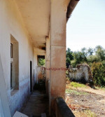 Starší rodinný dom s pozemkom 1150 m2 - Skároš (129-12-DT) – fotka 2