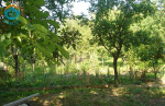 Na predaj RD - hrubá stavba, 1307m2, Dolný Lopašov okr. PN – fotka 2
