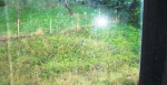 RD vo Vinici – fotka 4