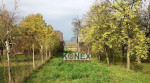 Konex reality – Rodinný dom v Malých Zalužiciach za skvelú cenu – fotka 2