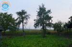 Na predaj RD 4 1, 1013 m2, Trenčianske Stankovce – fotka 4