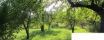 Predaj RD Vranov nad Topľou – fotka 3