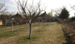Na predaj 3-izb. RD, 100 m2, priestranný pozemok, Sľažany – fotka 3