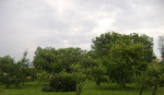 Predám rodinný dom, 1500m2, Zbudza – fotka 4