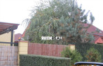 aTRIOREAL - 4I RD - IVANKA PRI DUNAJI - NOVOSTAVBA 2005 ! – fotka 3