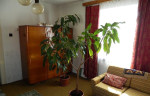 RD s veľkým pozemkom, Poprad - Veľká – fotka 4