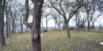 Dom na predaj – fotka 4