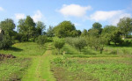 Kúria Veľké Zlievce – fotka 3