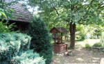 X reality / Dom, veĺké držkovce – fotka 2
