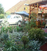 Dom, chalupa, obchod krásne prostredie, Štiavnických vrchou – fotka 4