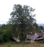 Predám dom v obci Dubové, okres Turčianske Teplice – fotka 2