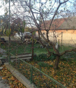 Rod. dom Hrušov Horné Saliby – fotka 2