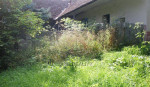 Predáme starší RD, Nová Bošáca, pozemok 5.719 m2 – fotka 3