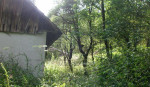 Predáme starší RD, Nová Bošáca, pozemok 5.719 m2 – fotka 4