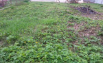 Novostavba Rosina – fotka 4