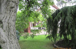 aTRIOREAL - PREDAJ - 5I RD - NOVA DEDINKA, OKRES SENEC. – fotka 4