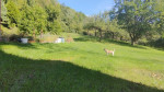 Predám ranč s potokom v lese. – fotka 3