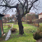 Predaj rodinného domu v Prievoze  – fotka 4
